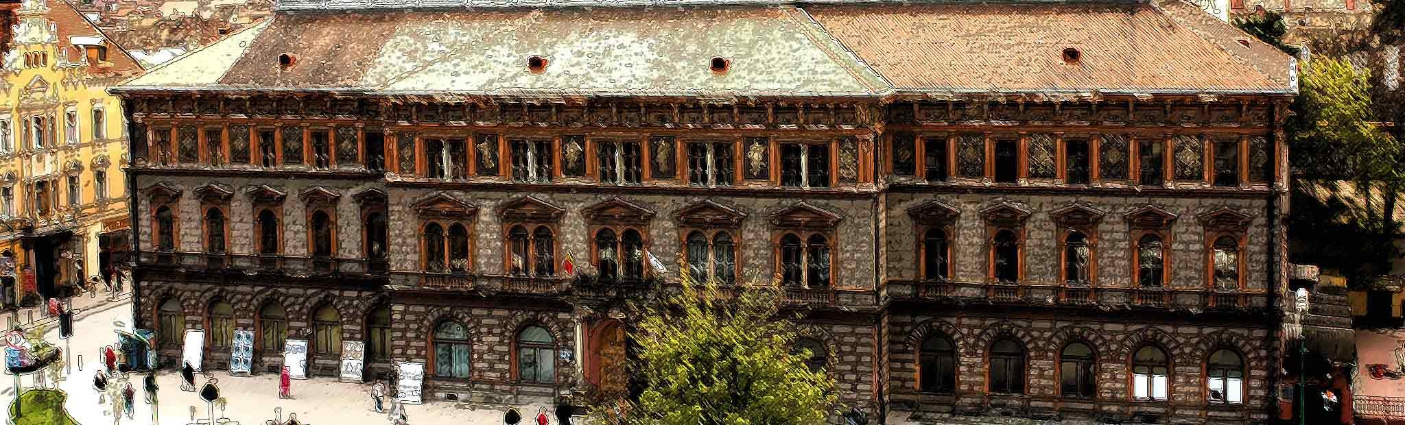 دانشگاه ترانسیلوانیای براشوو رومانی